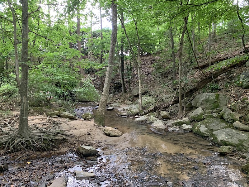 Big Trees Forest Preserve — Parks & Nature in Atlanta