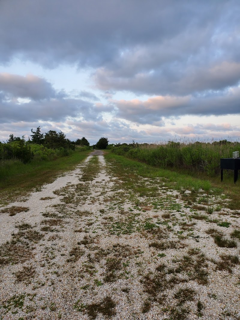 Lakes Bay Preserve — Parks & Nature in Atlantic City