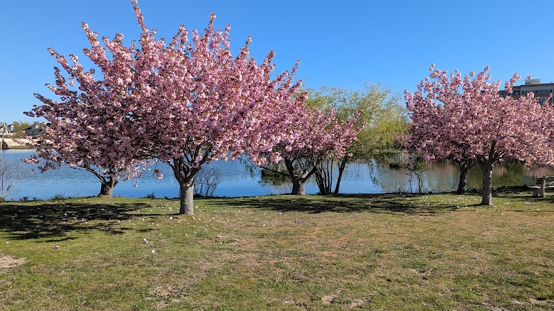 Sunset Lake Memorial Park — Best Neighborhoods in Asbury Park