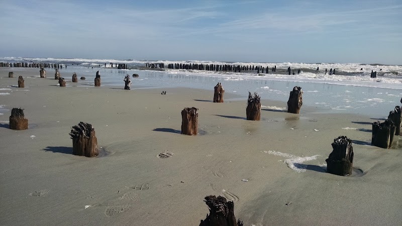 North Brigantine Natural Area — Beaches in Atlantic City