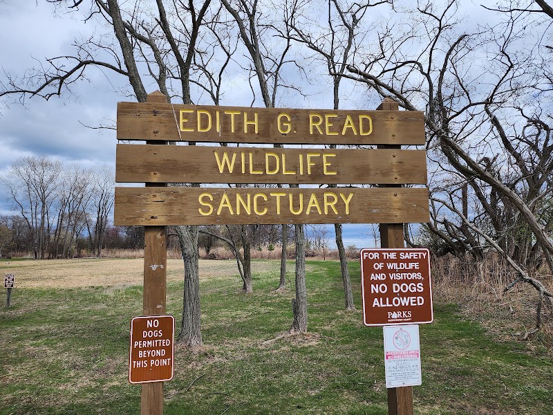 Edith Read Wildlife Sanctuary — Parks & Nature in White Plains