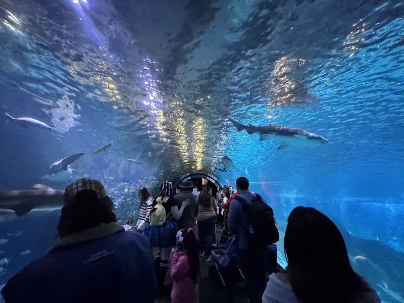 Adventure Aquarium — Family & Kids in Asbury Park