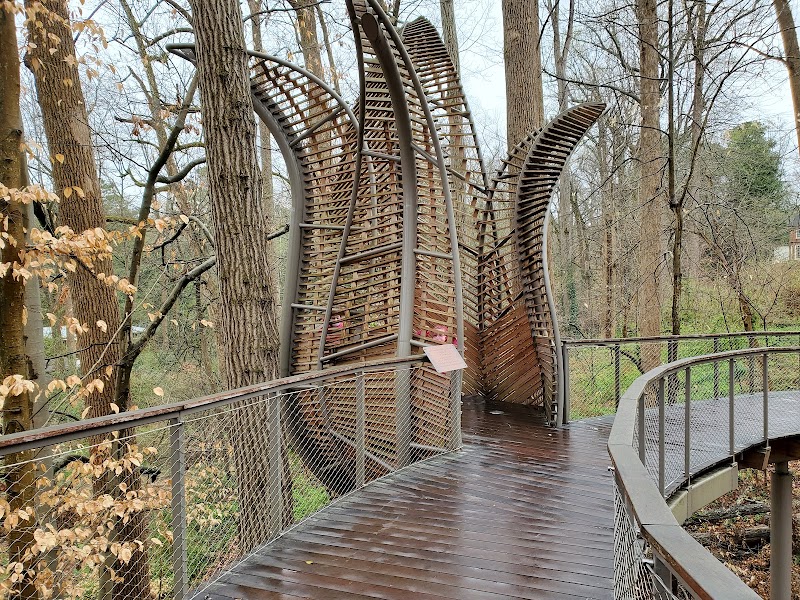 Fernbank Forest — Parks & Nature in Atlanta