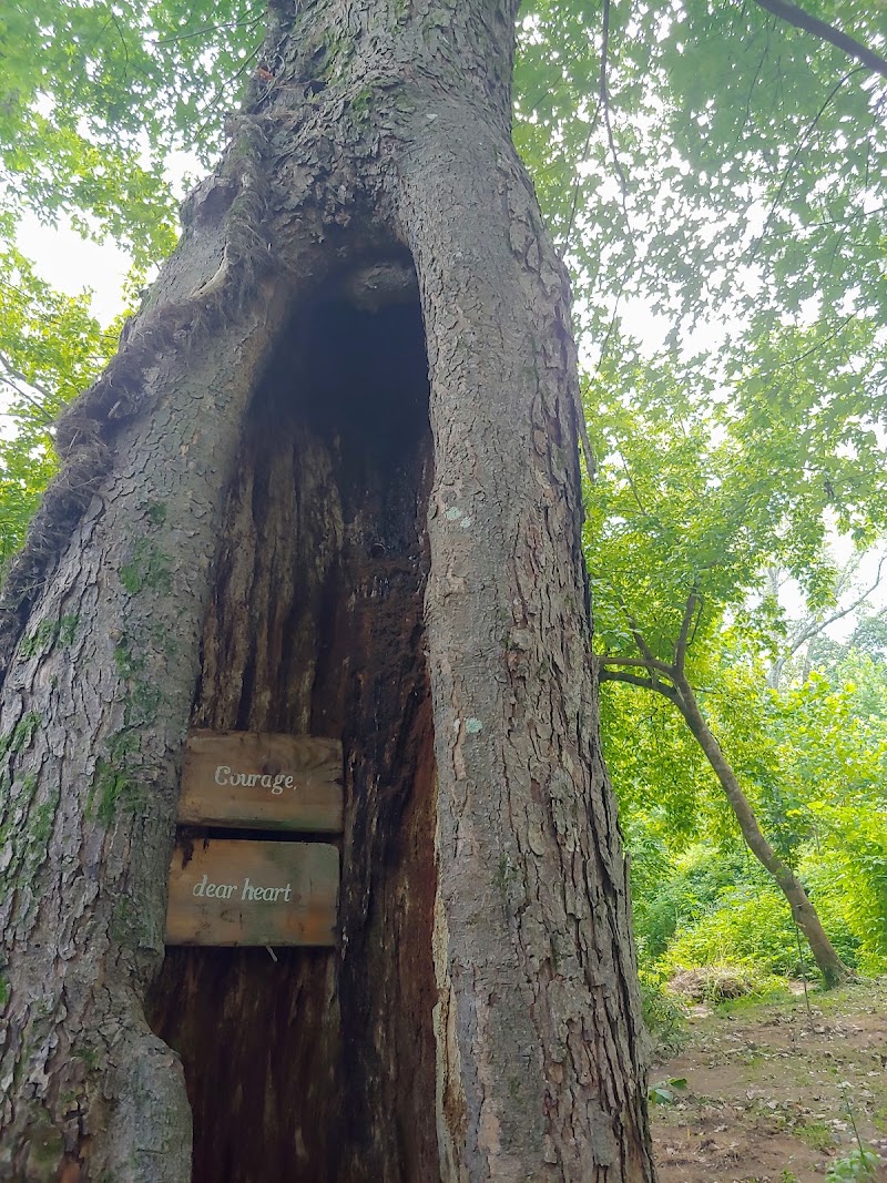 Zonolite Park — Photo Spots & Viewpoints in Atlanta