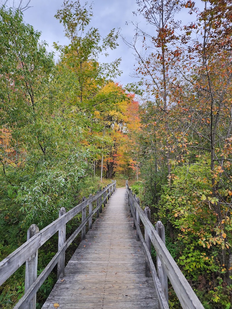 Sapsucker Woods — Parks & Nature in Ithaca