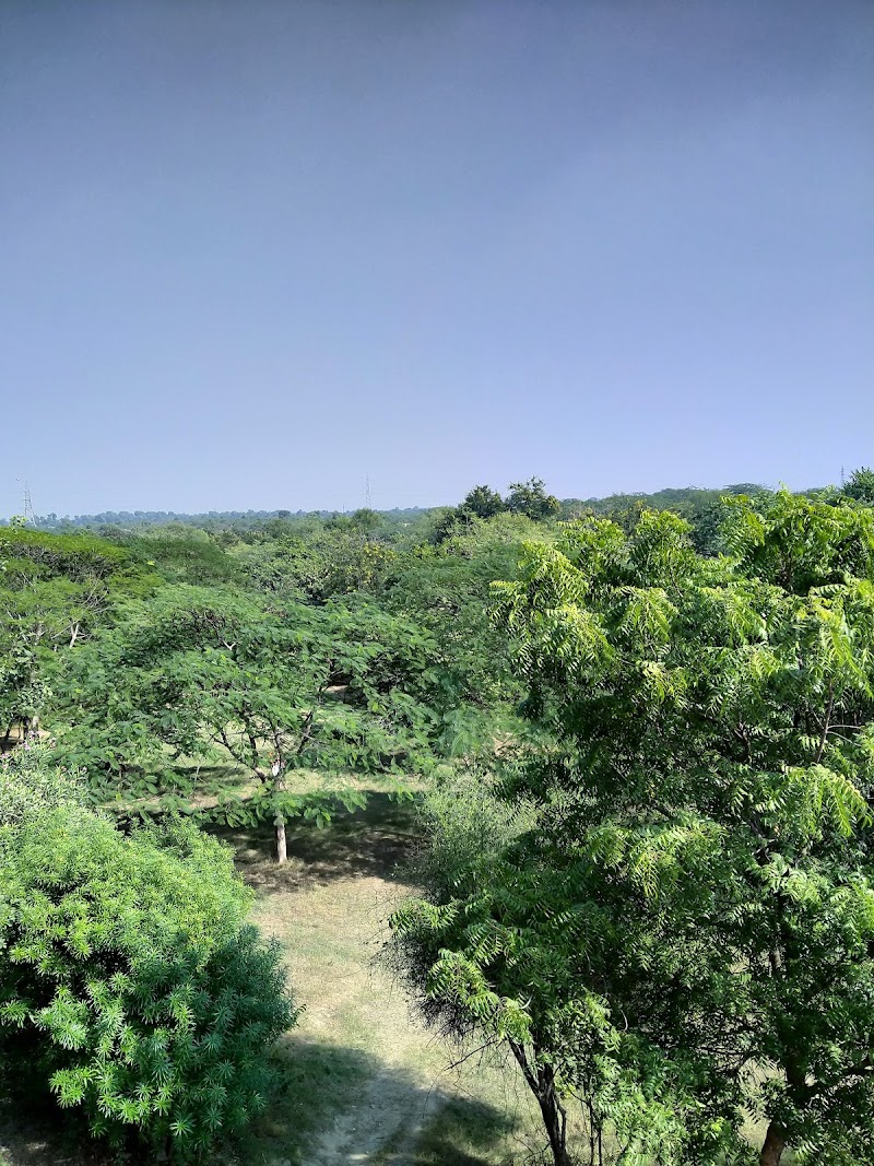 Taj Protected Forest — Parks & Nature in Agra
