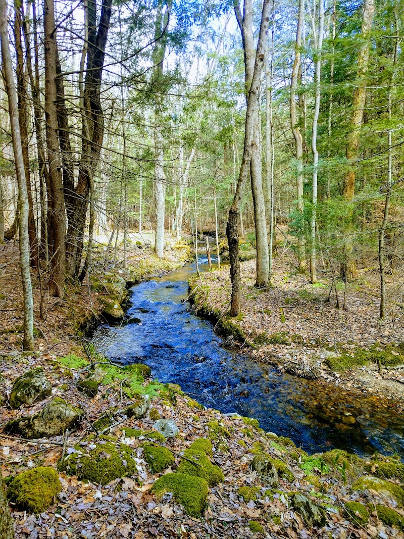 LeVine Nature Preserve — Parks & Nature in Saratoga Springs