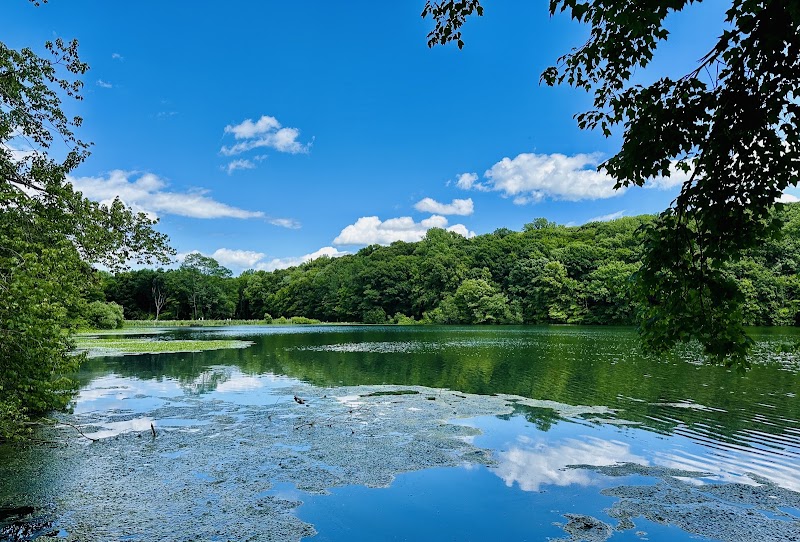 Rockefeller State Park — Parks & Nature in Tarrytown