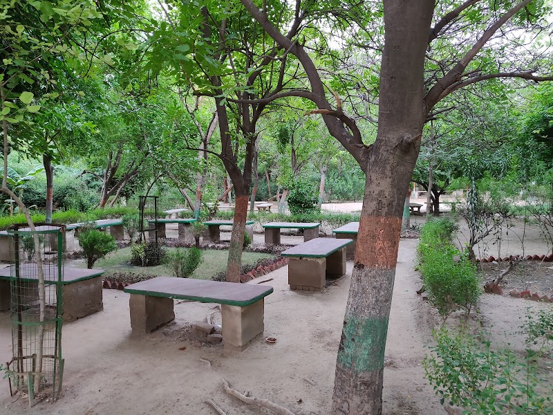 Paliwal Park — Parks & Nature in Agra